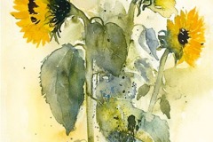 GW_2017-2, G. Pertramer
